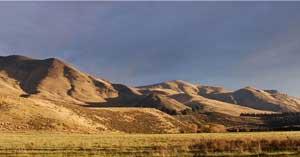 High Peak Hunting News for April