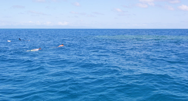 snorkelling bommy WEB